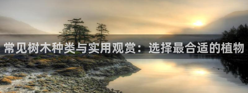 天顺休闲娱乐中心怎么样