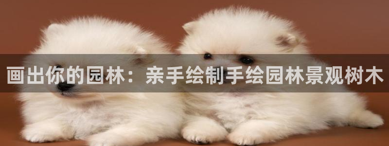 天顺娱乐负责人又潜pg29999
