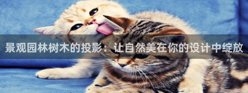 天顺娱乐千v96303