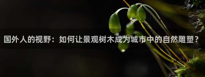 天顺娱乐21h判官333OO