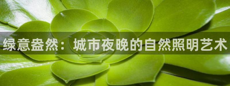 天顺娱乐高级 72182k