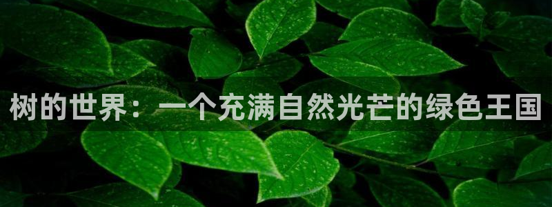 天顺娱乐负责人巛路pg22650
