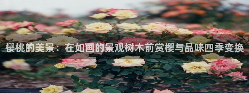 天顺娱乐逃78778