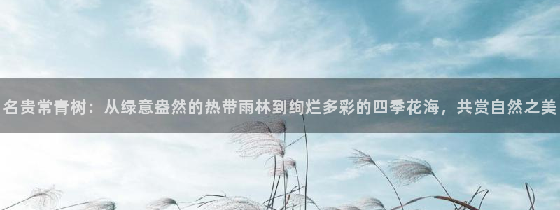 天顺娱乐号72 559