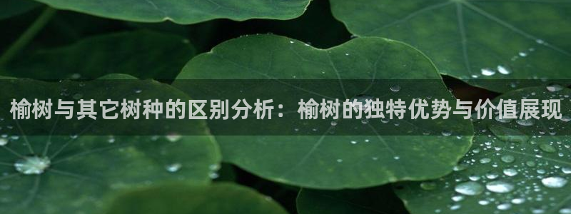 天顺娱乐庆貌p官29999