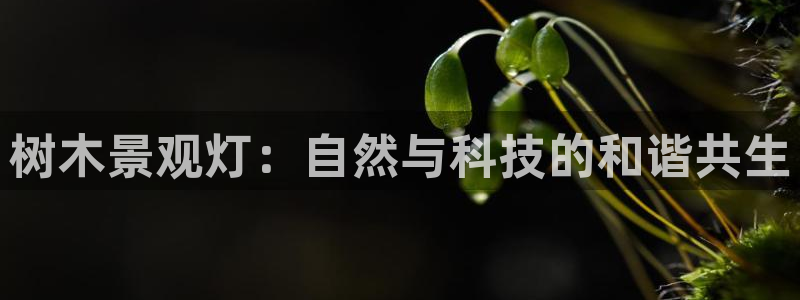 天顺娱乐汤70648
