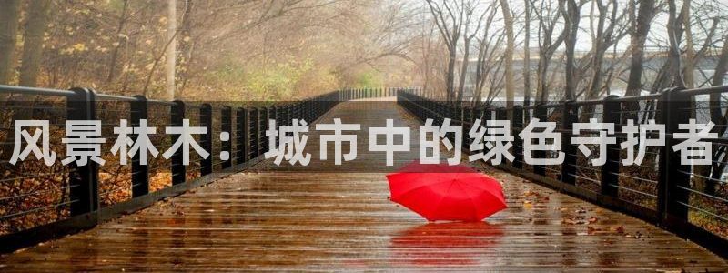 天顺娱乐负责人问qv96303