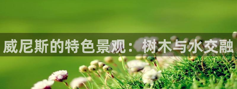 天顺娱乐闪78778卧