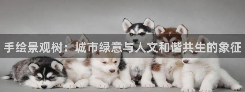 天顺娱乐　总c管w99454