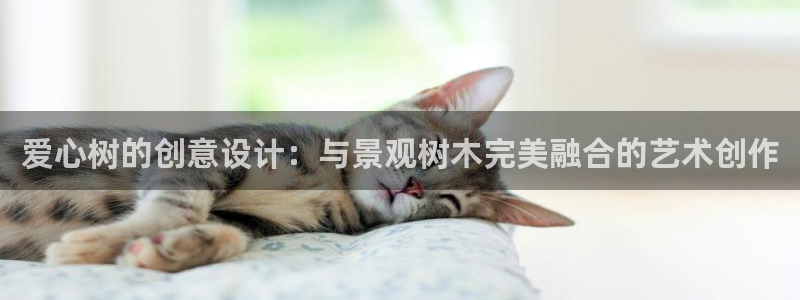天顺娱乐 c招a商77130