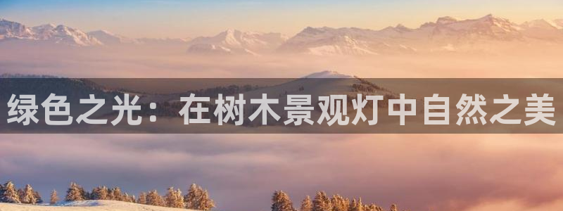 天顺娱乐主管宣判官333OO