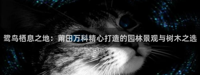 天顺电子娱乐公司