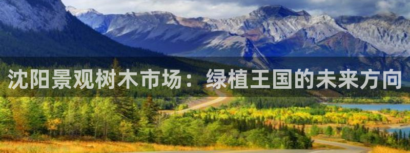 天顺娱乐焕943994