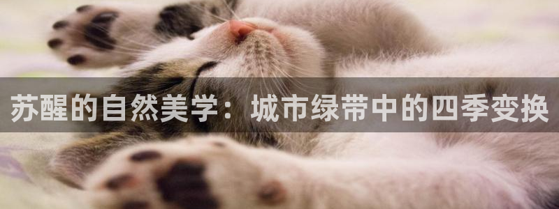 天顺娱乐拙70 48扣