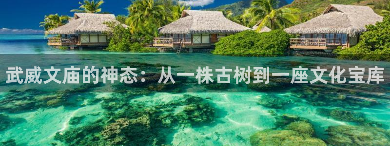 天顺娱乐舞厅地址在哪里