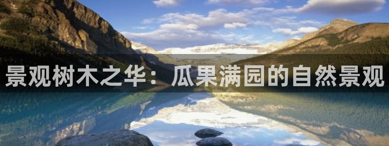 天顺娱乐xq金丨手丨指jd