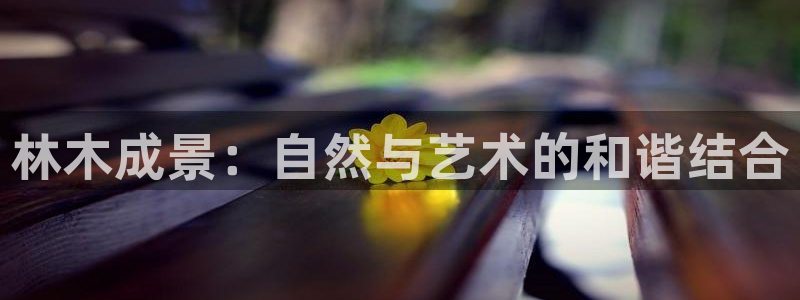 天顺娱乐张7O667