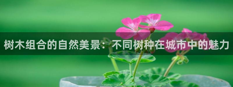 天顺娱乐就32OO59：树木组合的自然美景：不同树种在城市中的魅力