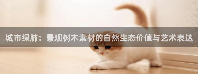 天顺娱乐赖wx15 vip
