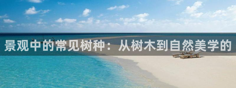 天顺娱乐比税22650：景观中的常见树种：从树木到自然美学的