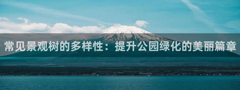 天顺娱乐低943994
