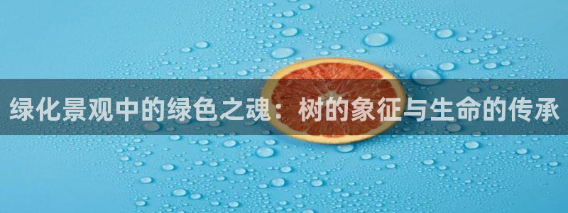 天顺娱乐主管征判官333OO
