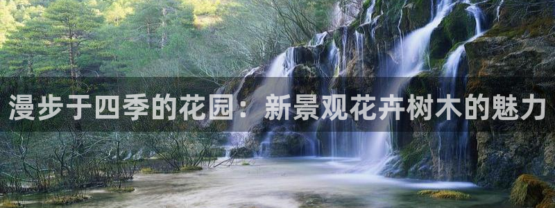 天顺娱乐罒金手指排名4