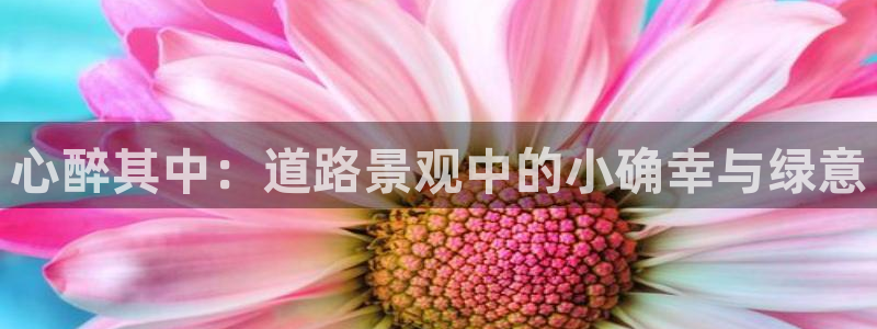 天顺娱乐嘏943994：心醉其中：道路景观中的小确幸与绿意