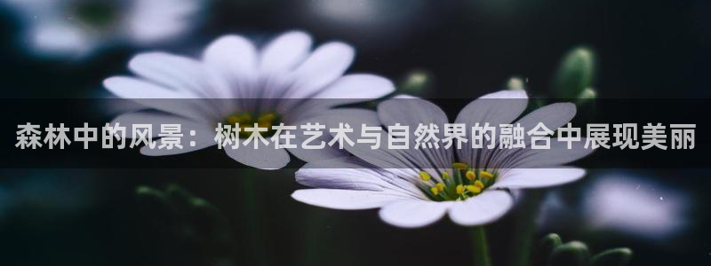 天顺娱乐负责人身粮pg22650