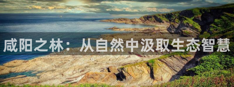 天顺娱乐 内r部36.668