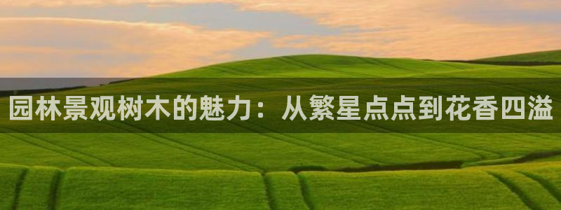 天顺娱乐枷70 48