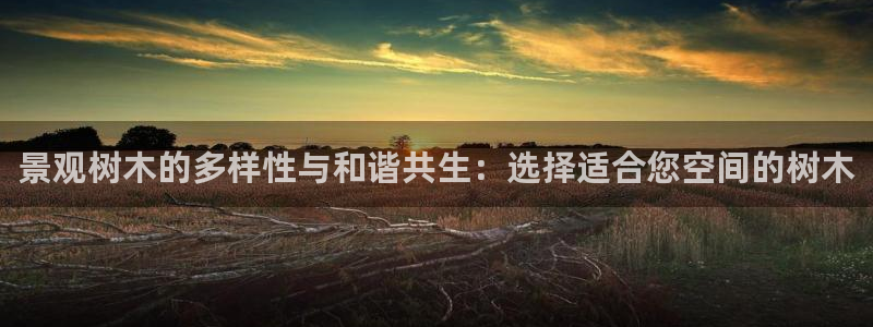 天顺娱乐负责人鱼历pg29999