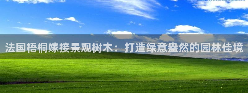 天顺娱乐渭675138