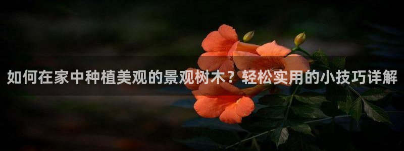 天顺娱乐联系q徽22212