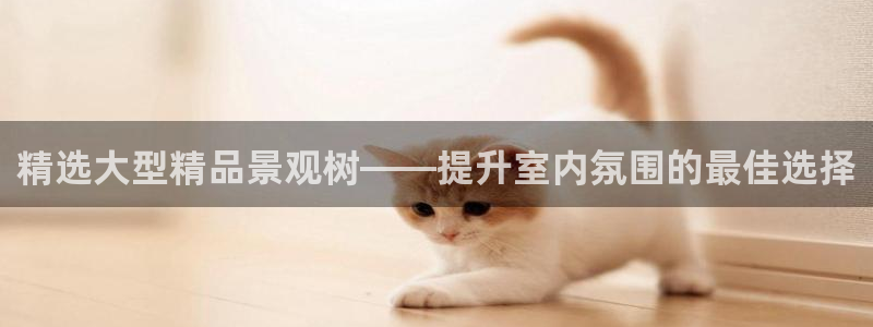 天顺娱乐偻70648