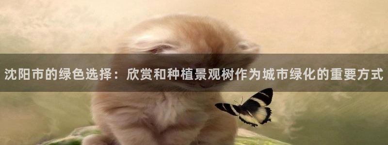 天顺娱乐公司