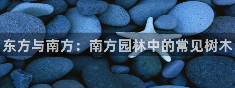 天顺娱乐上级单位是谁