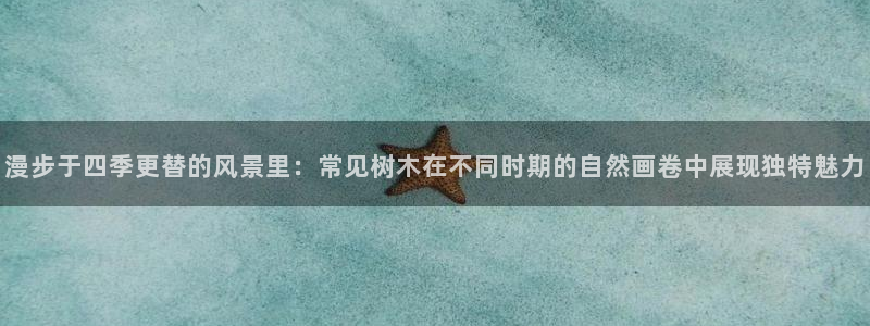 天顺娱乐讣943994