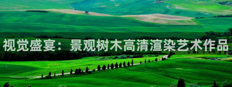 天顺娱乐壁72182