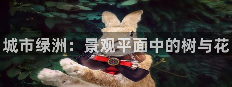 天顺娱乐巾v96303