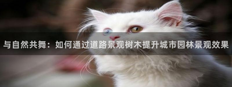 天顺娱乐D炜29999