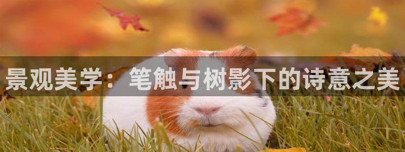 临沧天顺娱乐会所地址