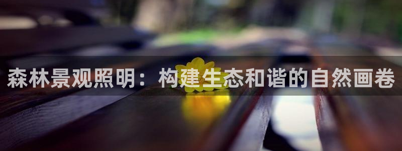 汝城天顺娱乐有限公司：森林景观照明：构建生态和谐的自然画卷