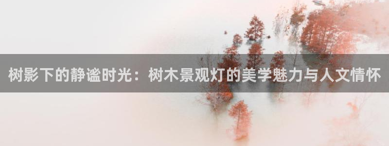 天顺娱乐鞍wx15 net：树影下的静谧时光：树木景观灯的美学魅力与人文情怀