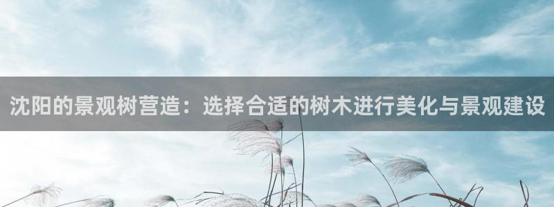 天顺娱乐透疚74ooo5炼：沈阳的景观树营造：选择合适的树木进行美化与景观建设