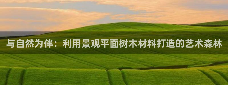 天顺娱乐主管都做什么的：与自然为伴：利用景观平面树木材料打造的艺术森林