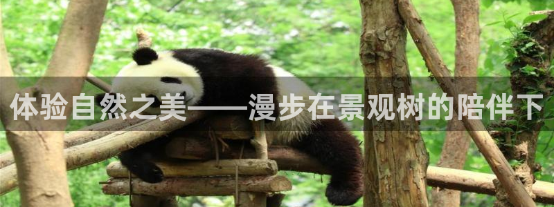 天顺娱乐开门了吗