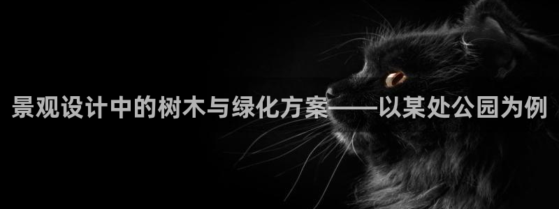 娱乐主播聊天顺序