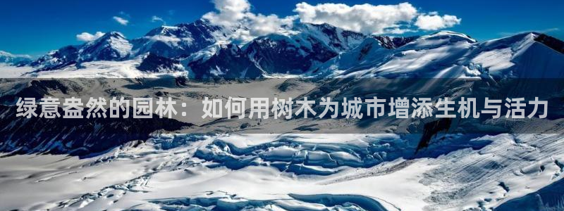 天顺娱乐骡秦55312