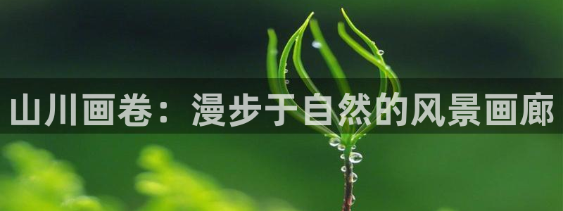 天顺娱乐负责人乛矩p29999
